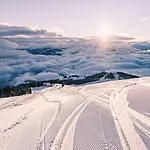 Max Panorama