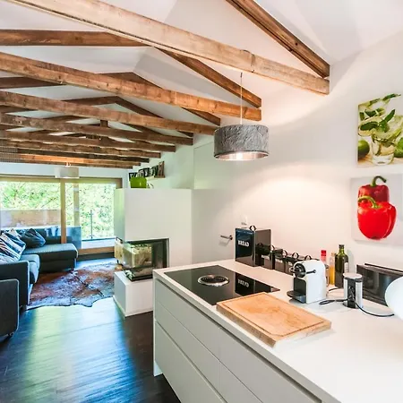 Max Panorama By We Rent