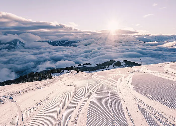 Max Panorama By We Rent